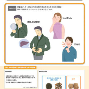 Inchinkoto (Kampo extract granules)