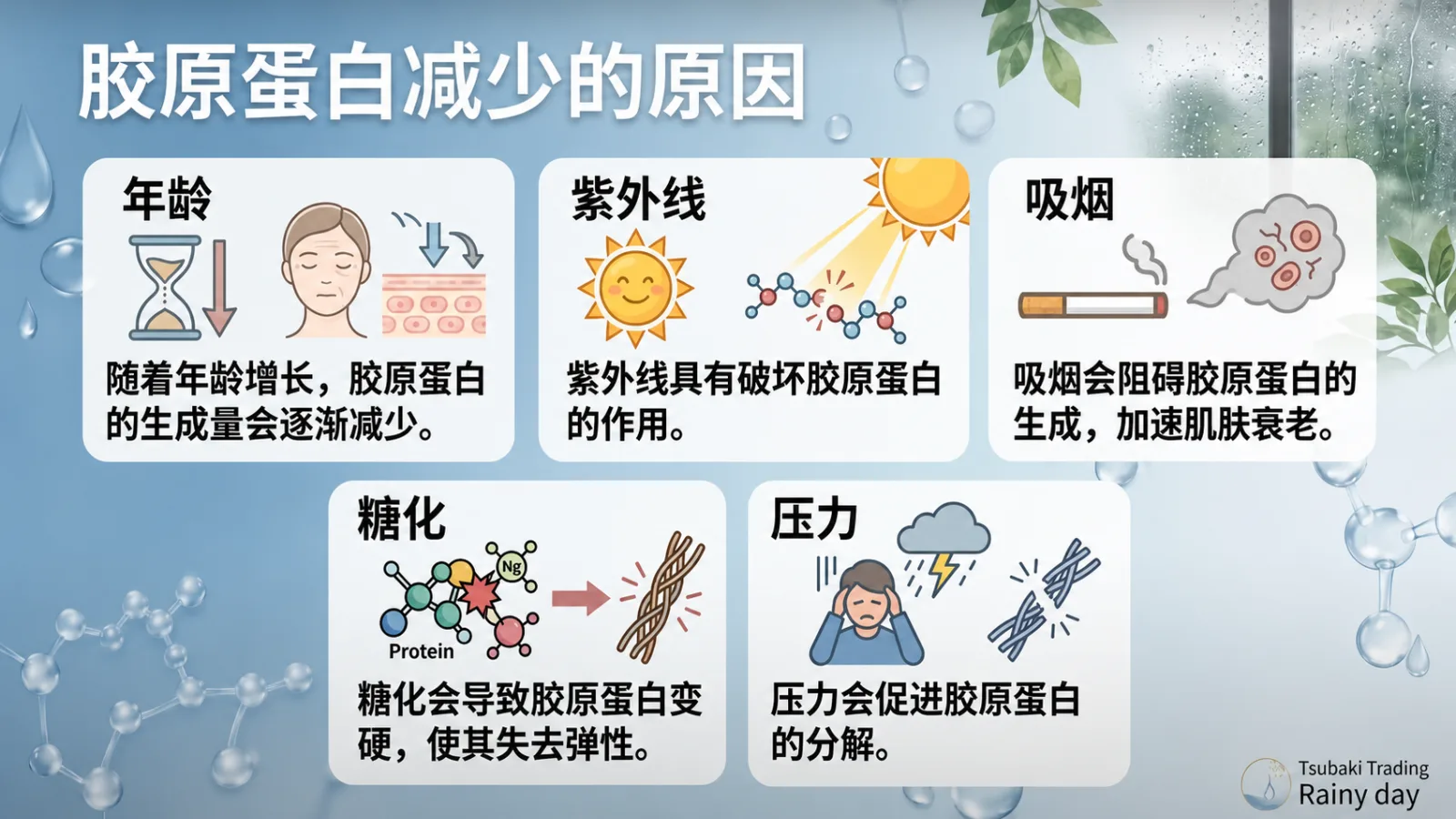 胶原蛋白减少的原因：年龄、紫外线、吸烟、糖化与压力