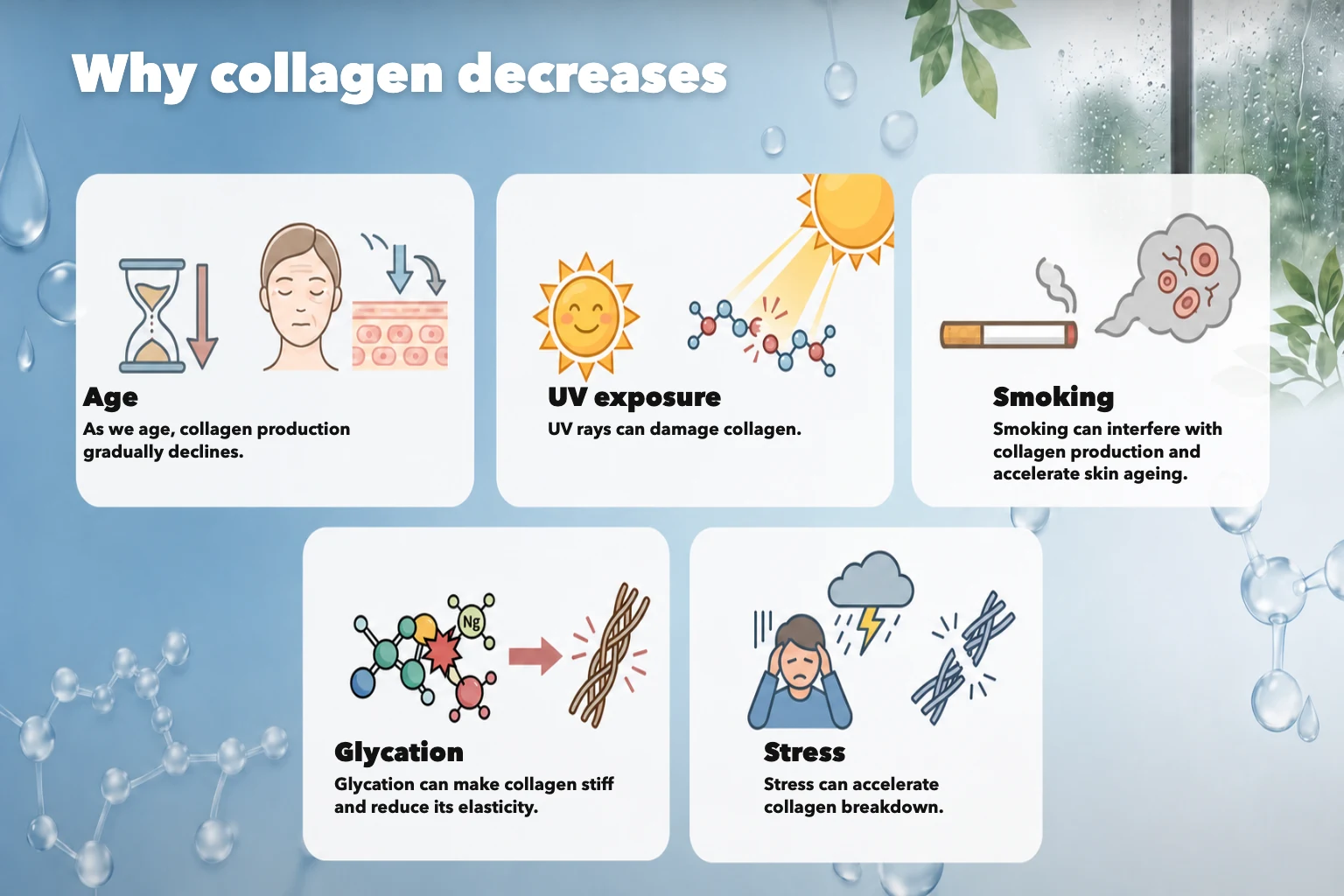 Why collagen decreases: age, UV exposure, smoking, glycation and stress