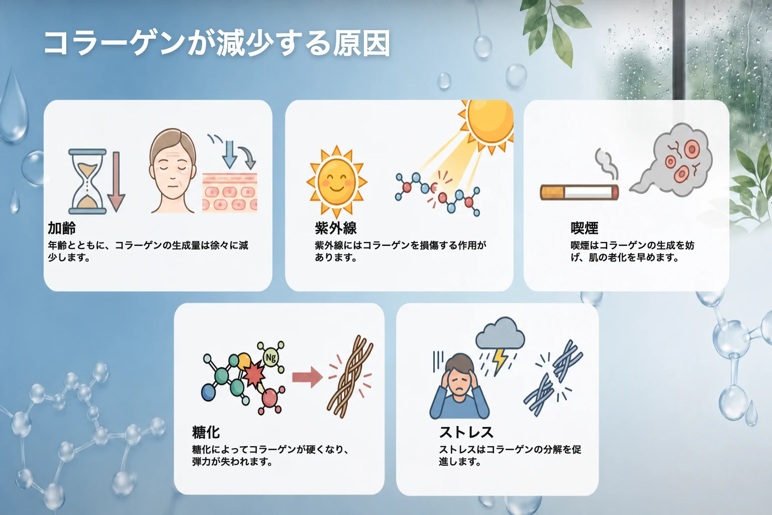 コラーゲンが減少する原因：加齢、紫外線、喫煙、糖化、ストレス